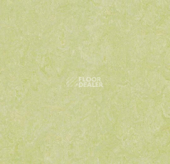 Линолеум Forbo Marmoleum Decibel on Order 388135 green wellness фото 1 | FLOORDEALER
